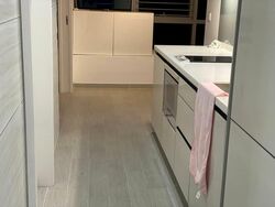 V On Shenton (D1), Apartment #594659761
